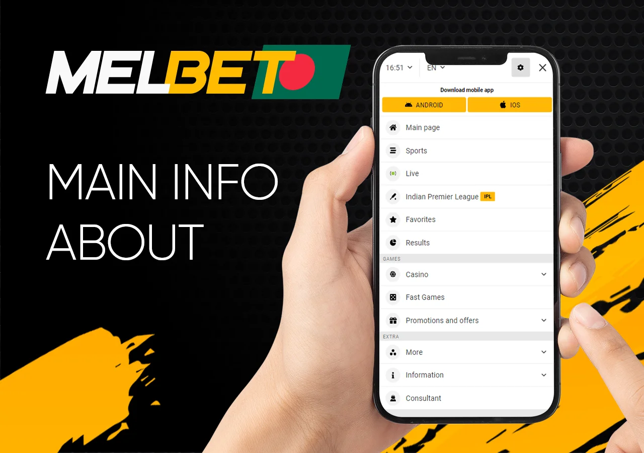 General information about the application